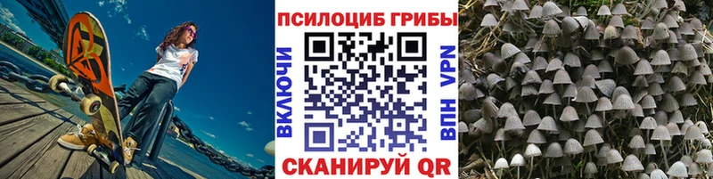 Псилоцибиновые грибы Magic Shrooms  купить закладку  Унеча 